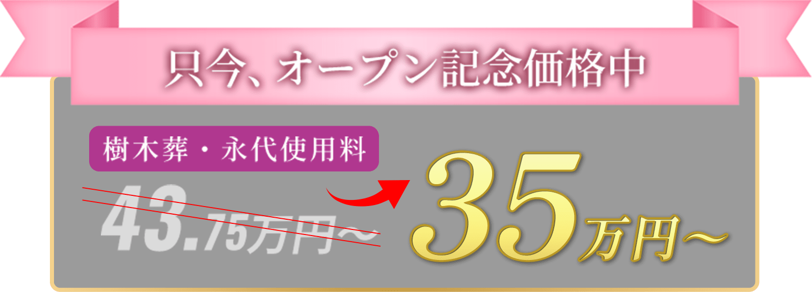 只今、オープン記念価格中